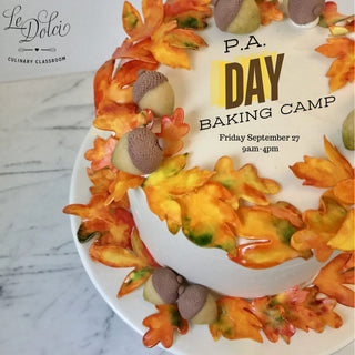 Details are here for our next PA Day camp, happening Friday Sept 27   🍂⁠