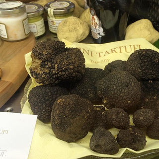 What to Know When Hunting For Truffles