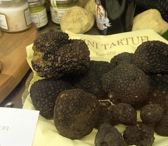 What to Know When Hunting For Truffles