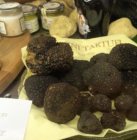 What to Know When Hunting For Truffles