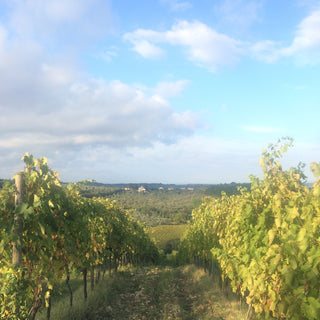 Foodie Trips Presents: The Tuscan Culinary Adventure of Your Dreams