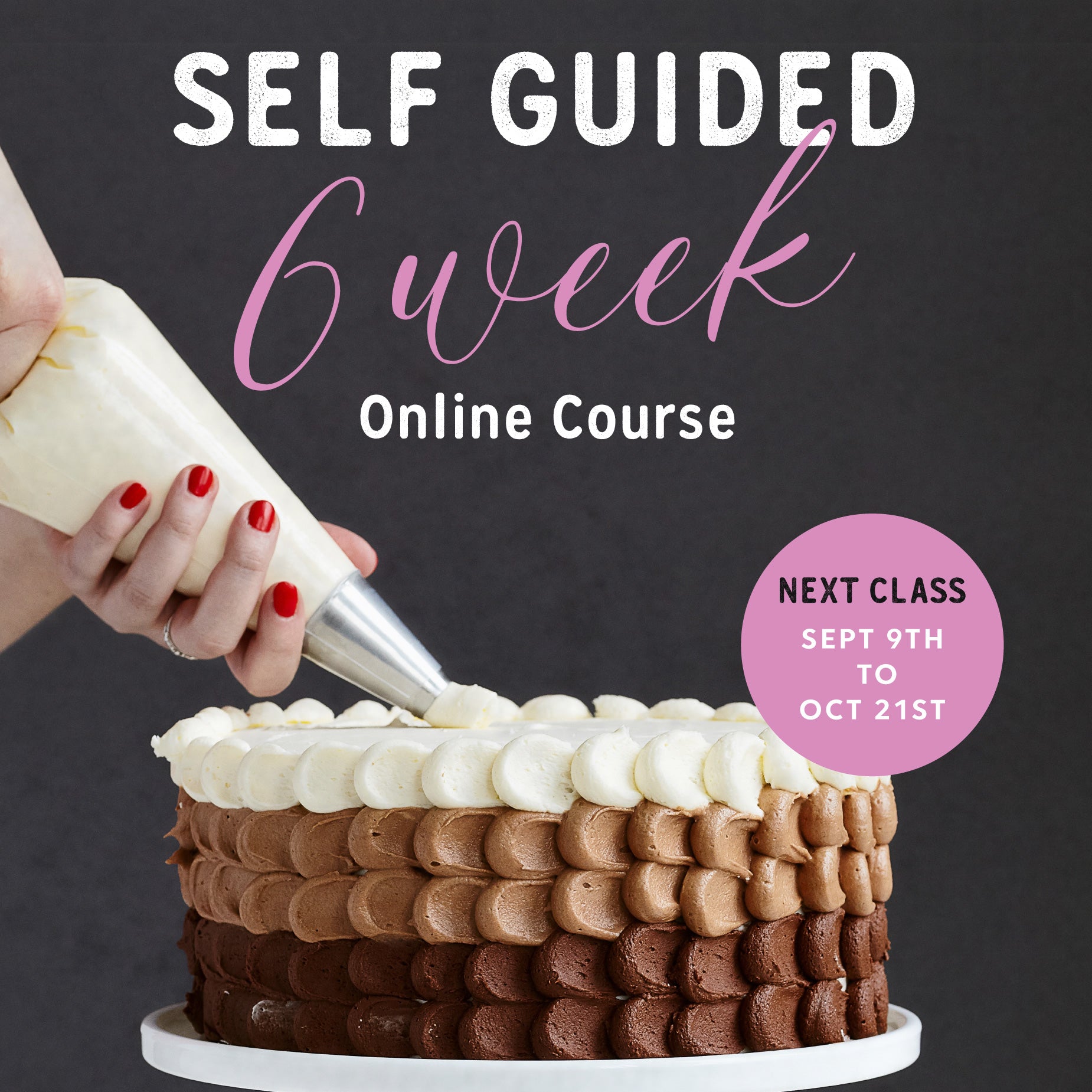 Cake Learning Model Learn Cake Decorating & Buttercream Fundamentals on your schedule – Le ...
