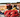CATCH A LOBSTER DINNER IN PEI