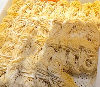 Where Are Foodies Going in 2016